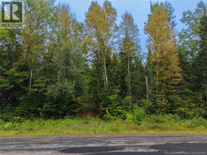 Lot 4 Boone Road — photo 8 of 10
