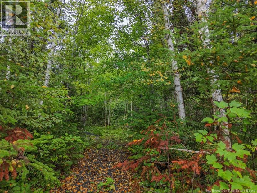 Lot 4 Boone Road — photo 9 of 10