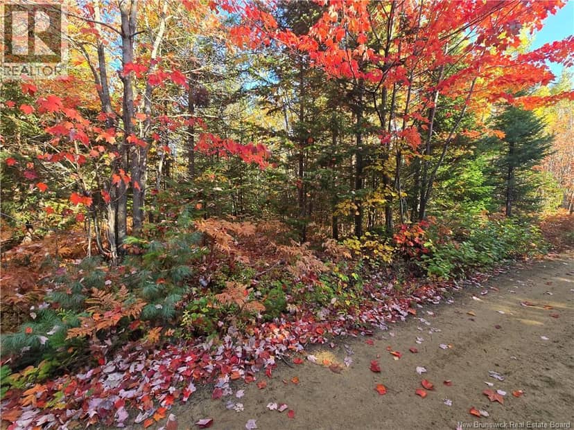28 acres rue des Fondateurs, Petit-Paquetville, photo 2