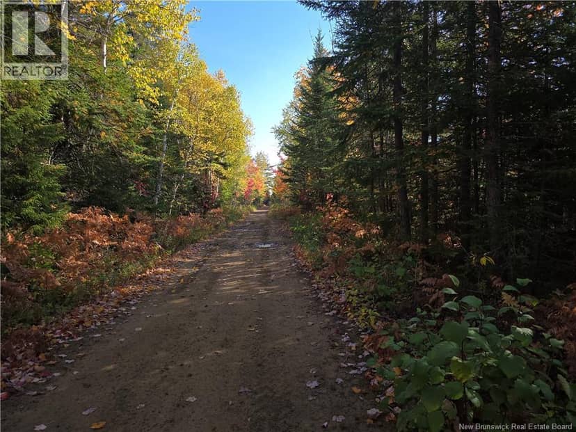 28 acres rue des Fondateurs, Petit-Paquetville, photo 5