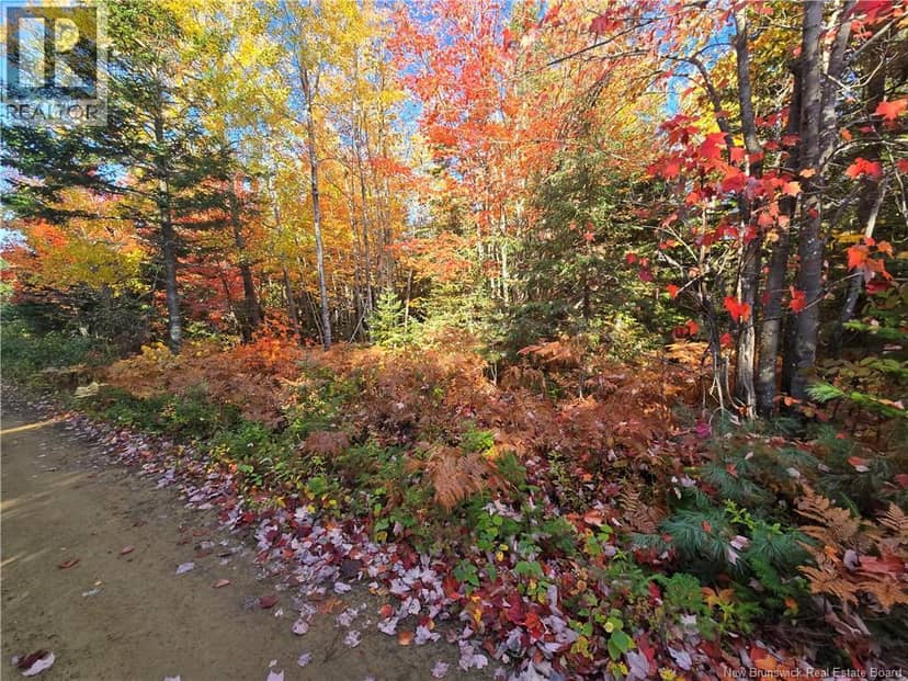 28 acres rue des Fondateurs, Petit-Paquetville, photo 3
