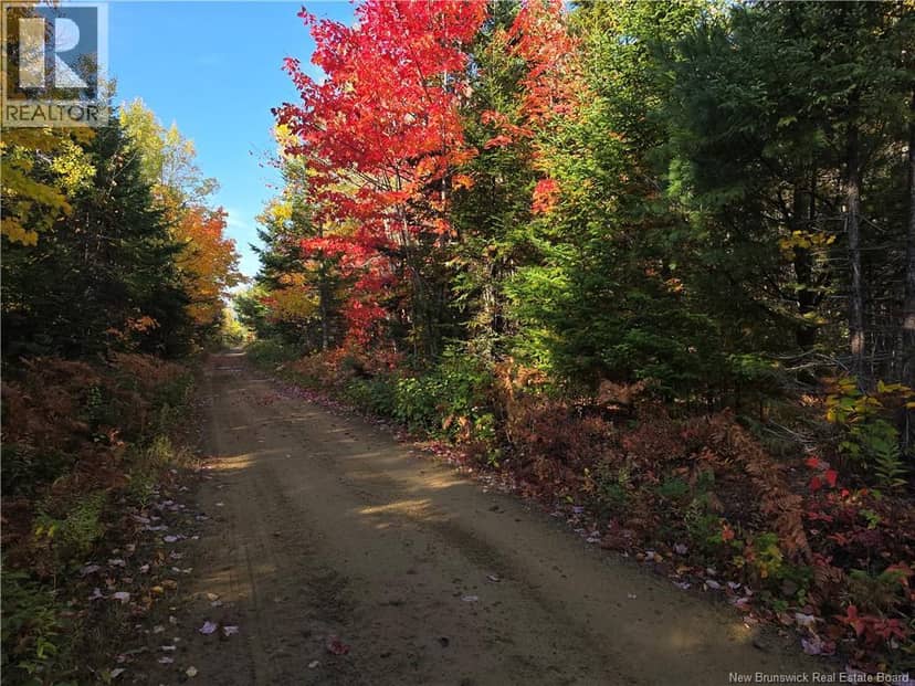 28 acres rue des Fondateurs, Petit-Paquetville, photo 4