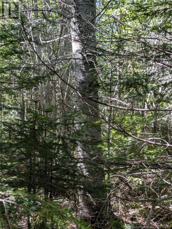 28 acres rue des Fondateurs — photo 9 of 10