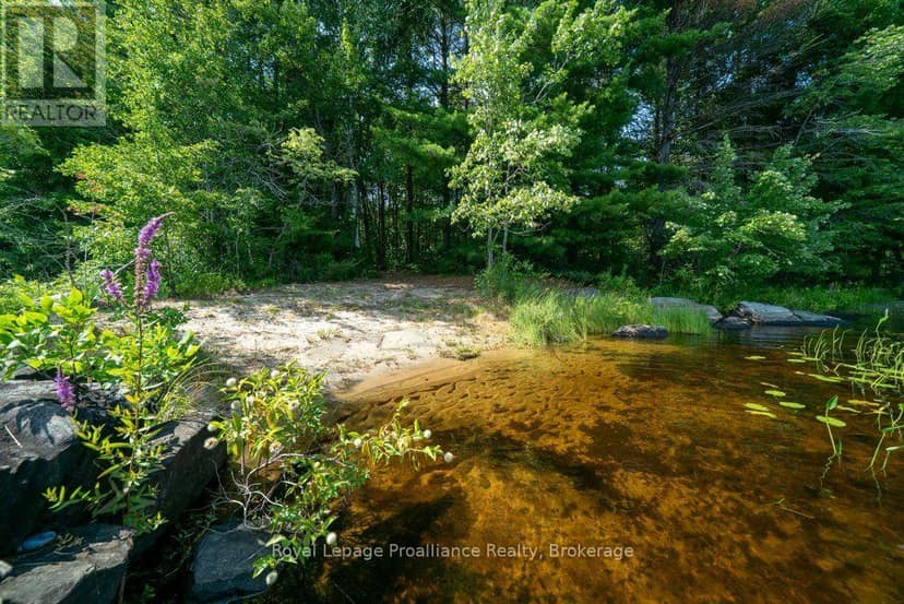 0 Bebris Road Lot 16 — photo 22 of 40
