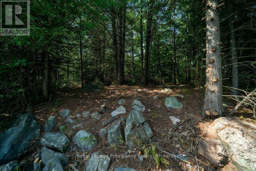 0 Bebris Road Lot 16 — photo 30 of 40