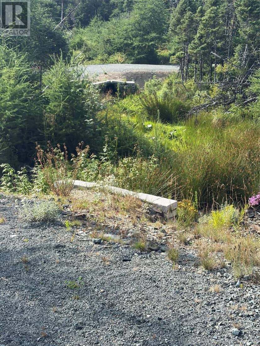 54 Big Meadow Drive — photo 11 of 11