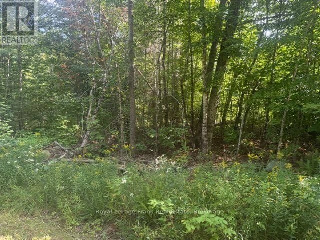 905 & 841 North McKenzie Lake Road, South Algonquin, photo 3
