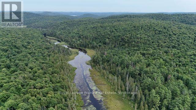 905 & 841 North McKenzie Lake Road — photo 11 of 16