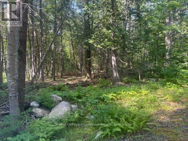 905 & 841 North McKenzie Lake Road, South Algonquin, photo 5