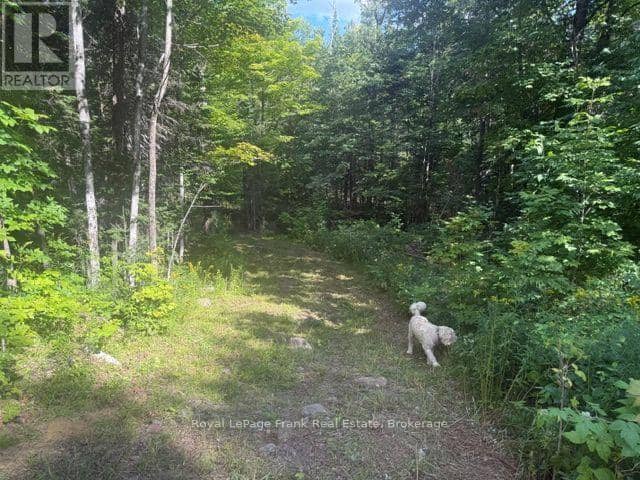 905 & 841 North McKenzie Lake Road, South Algonquin, photo 2