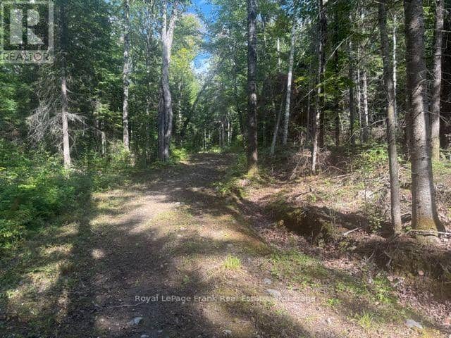 905 & 841 North McKenzie Lake Road, South Algonquin, photo 7