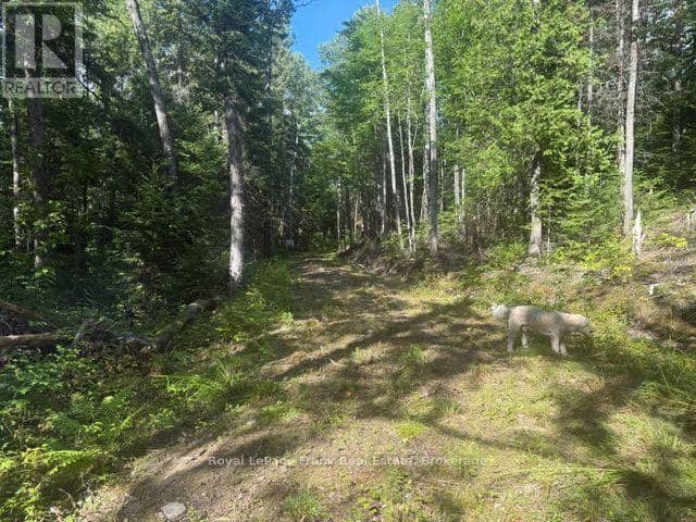 905 & 841 North McKenzie Lake Road, South Algonquin, photo 6
