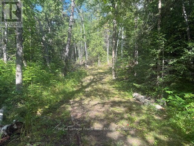 905 & 841 North McKenzie Lake Road, South Algonquin, photo 4