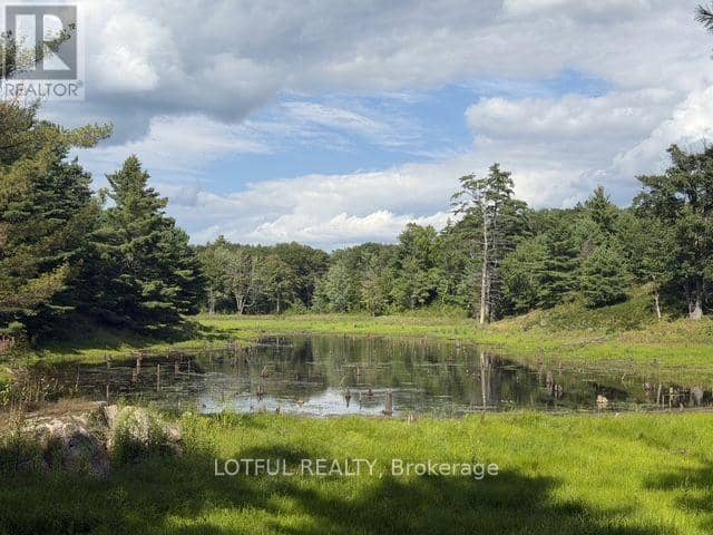 101 Maberly Station Road — photo 25 of 35