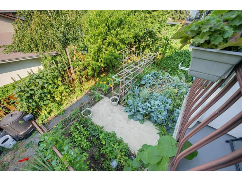 105 46195 CLEVELAND AVENUE, Chilliwack Proper East, Chilliwack, photo 4