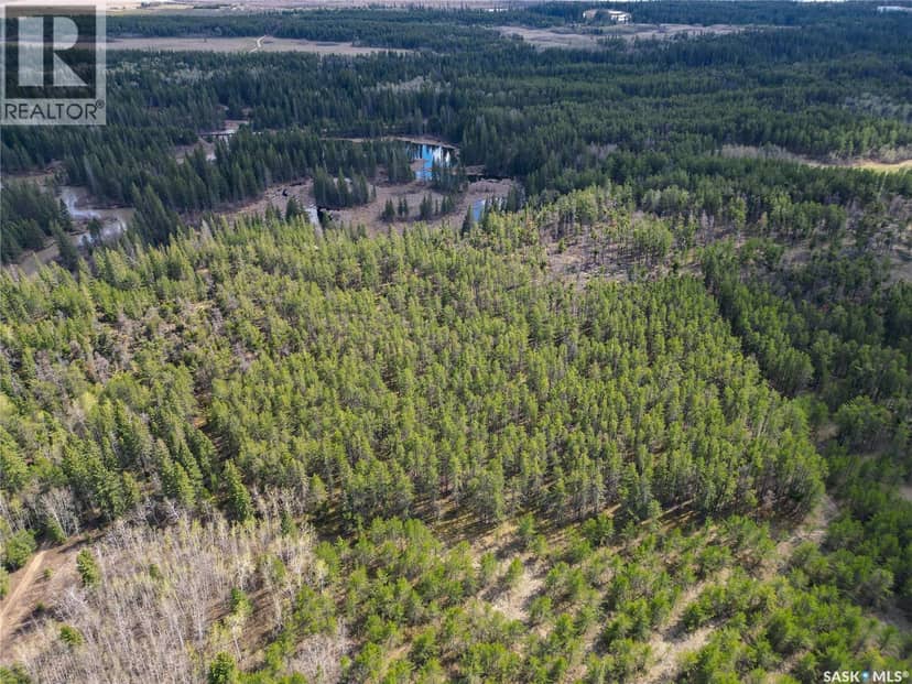Little Red Villas Inc.(20.07 Acre) Parcel — photo 11 of 32