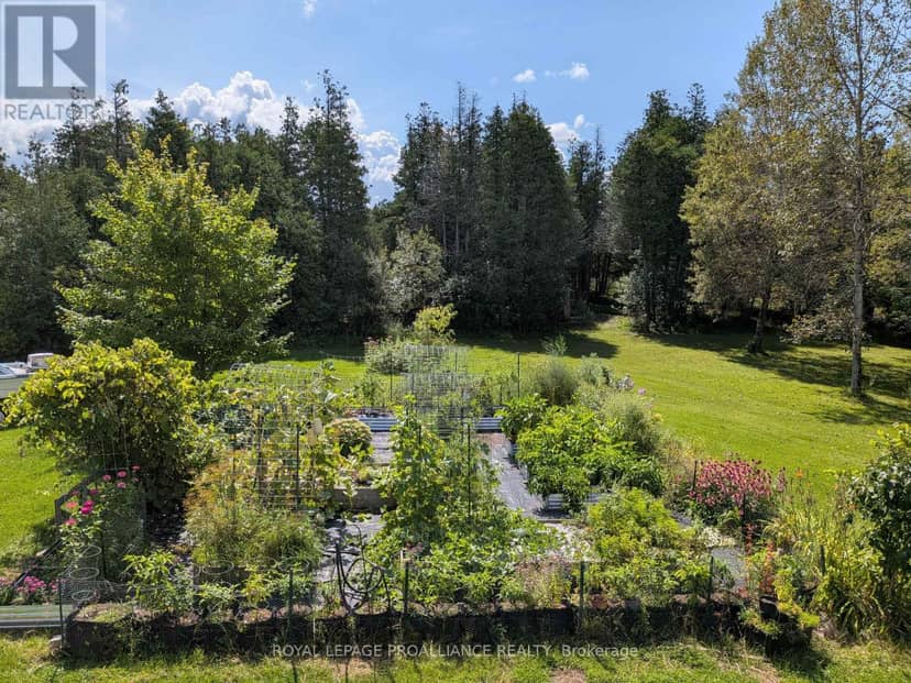 10250 County Road 15 Road — photo 40 of 40