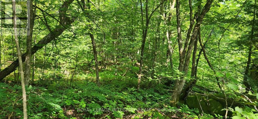 326 Wardens Road, Lanark Highlands, photo 5