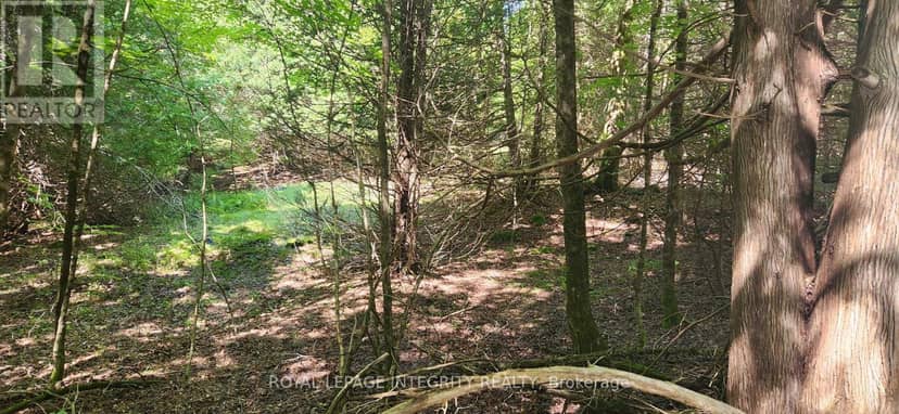 326 Wardens Road, Lanark Highlands, photo 7