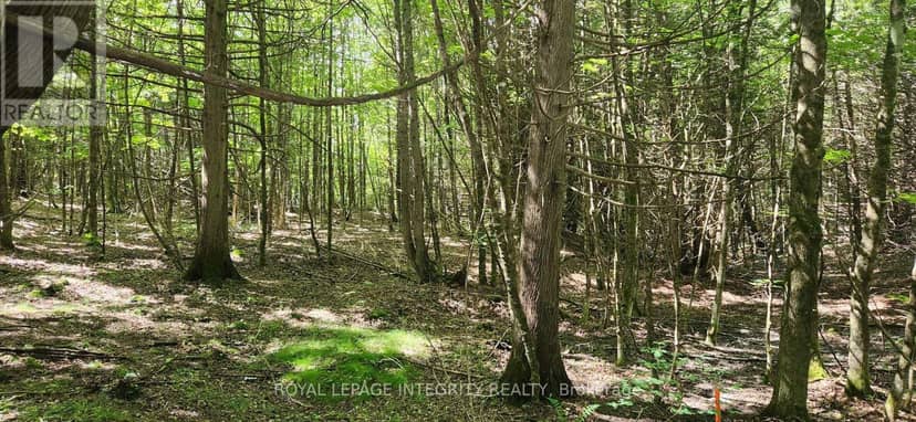 326 Wardens Road, Lanark Highlands, photo 8