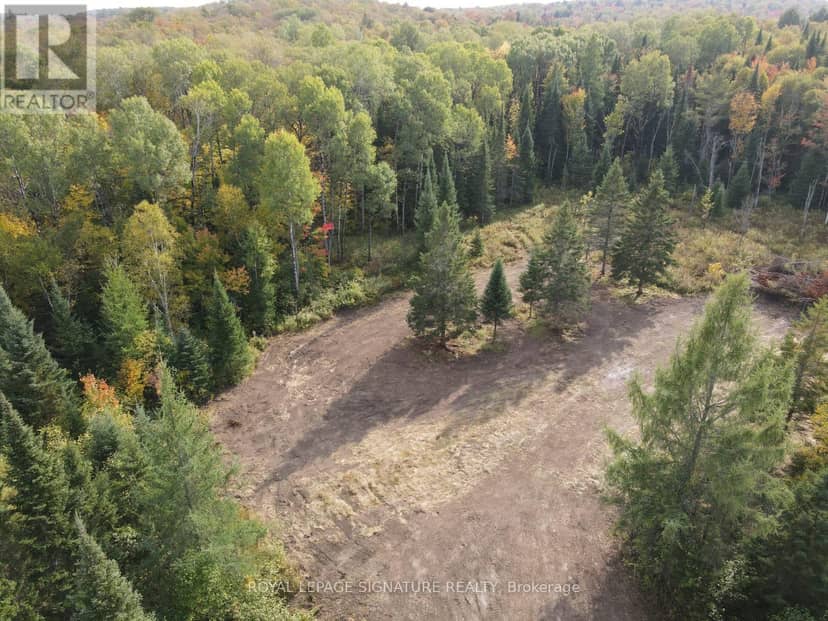 938 Bartlett Lake Road, McMurrich/Monteith, photo 2