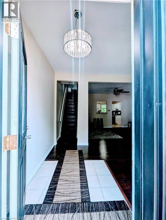 81 GREY Street — photo 6 of 40