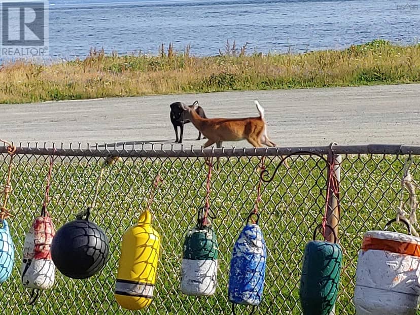 1836 Caribou Island Road — photo 11 of 40