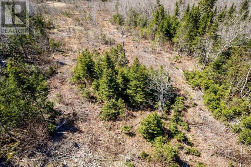 Lot A Aylesford Road — photo 15 of 21