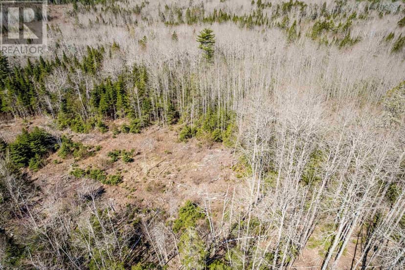 Lot A Aylesford Road — photo 13 of 21