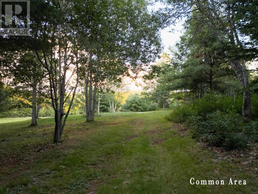 7 Colonial Arms Drive — photo 23 of 25