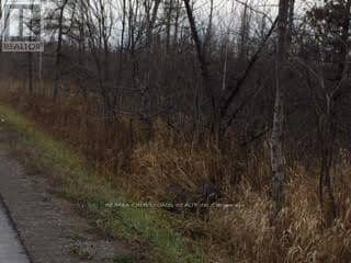 LOT#10 McCowan Road, Georgina, photo 5