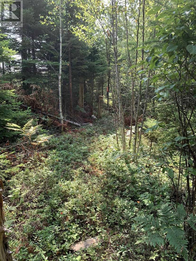 Lot 4A Hunter Road — photo 10 of 16