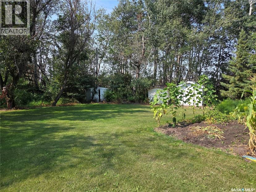 159 Birch ROAD, Carrot River, photo 4