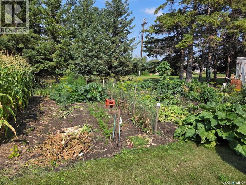 159 Birch ROAD, Carrot River, photo 5