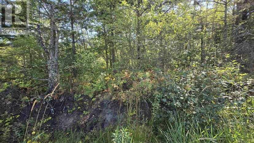 Lot 21-3 Messenger Road — photo 7 of 30