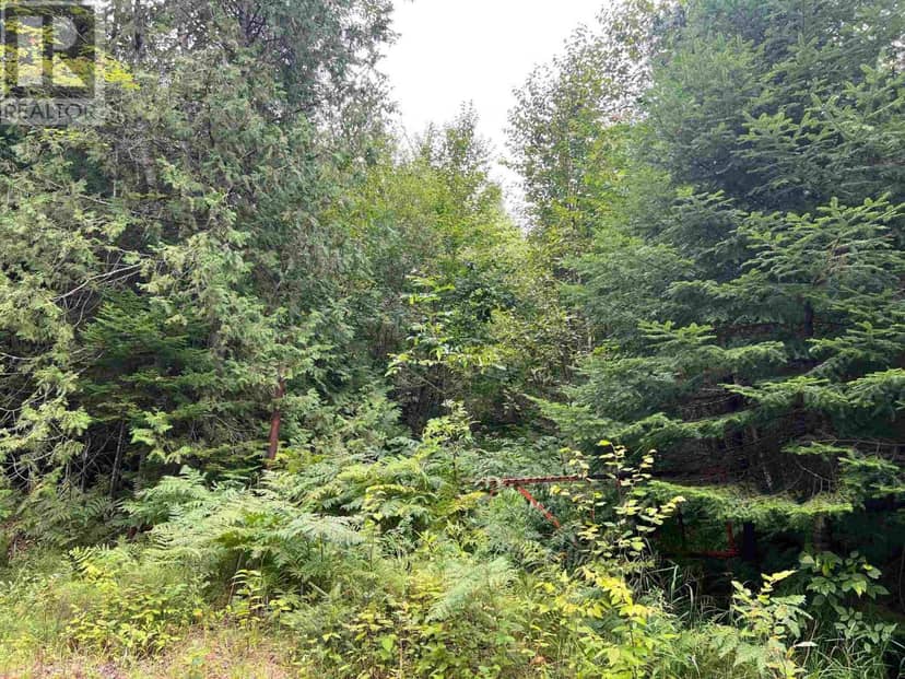 PT LOT 5 Boat Launch RD, Blind River, photo 4