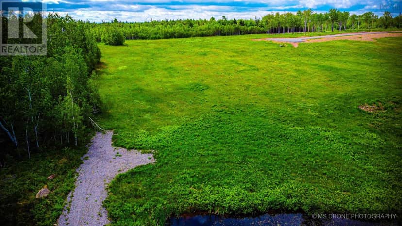 Lot 4 Gulf Shore Road — photo 10 of 40