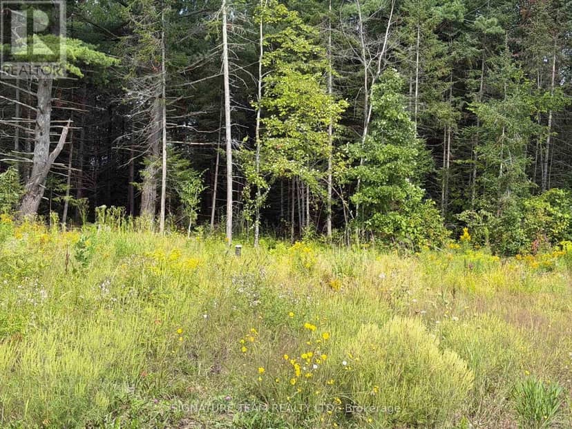 0 Mud Lake Road — photo 24 of 25