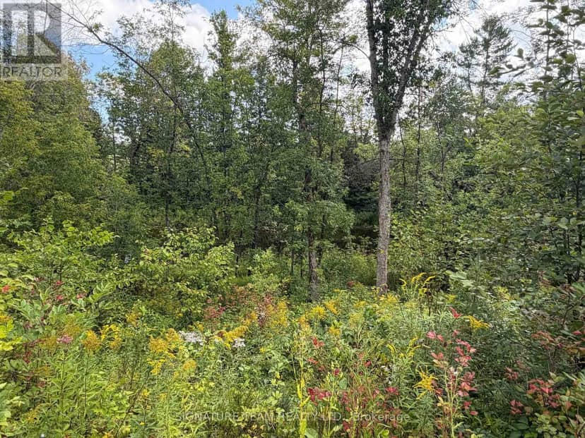 0 Mud Lake Road — photo 25 of 25