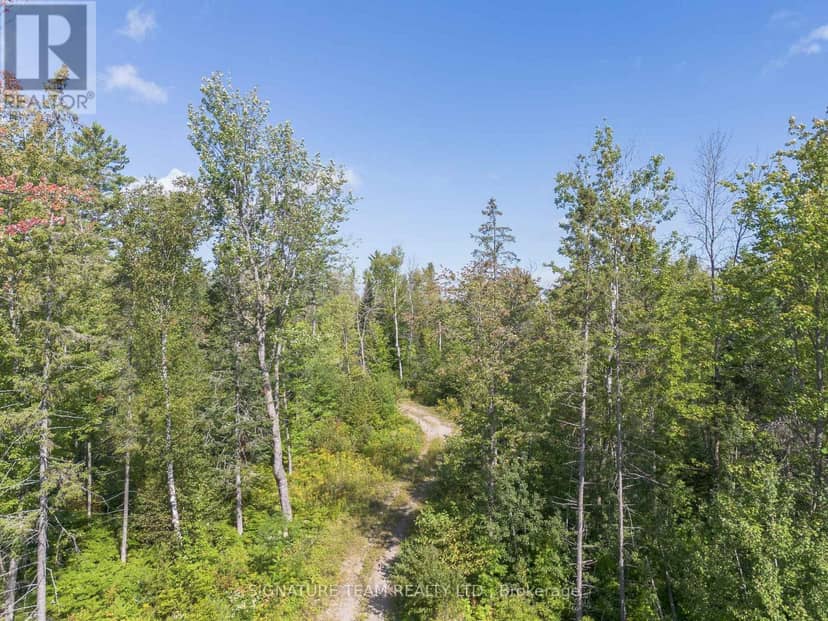 0 Mud Lake Road — photo 4 of 25