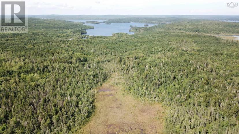 Lot 1 Mines Road — photo 5 of 16