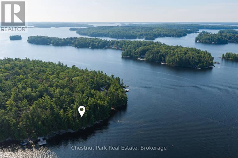 West Side Of Island M81 - Pine Island, Muskoka Lakes, photo 5