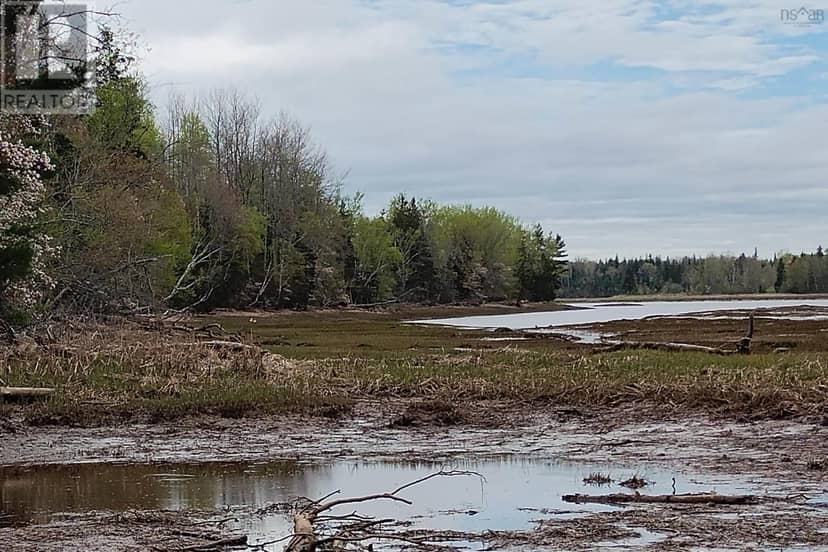 Lot 25-1 Highway 321 — photo 19 of 23