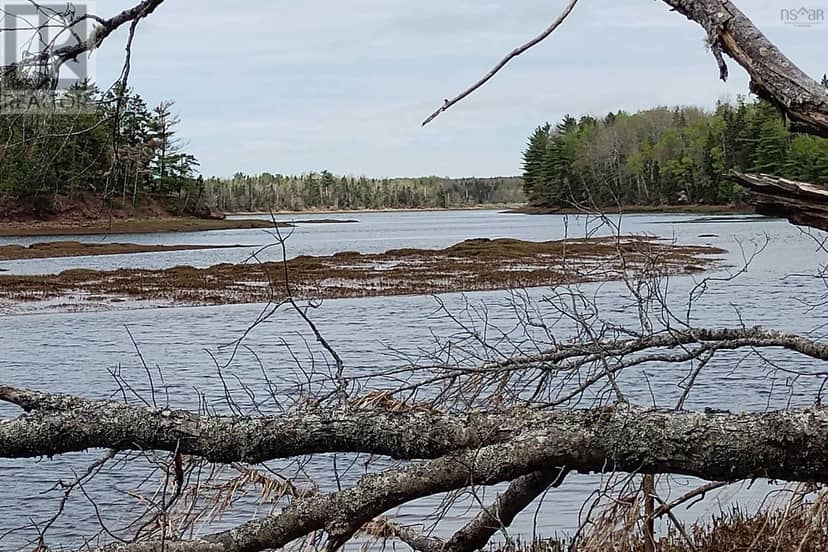 Lot 25-1 Highway 321 — photo 17 of 23