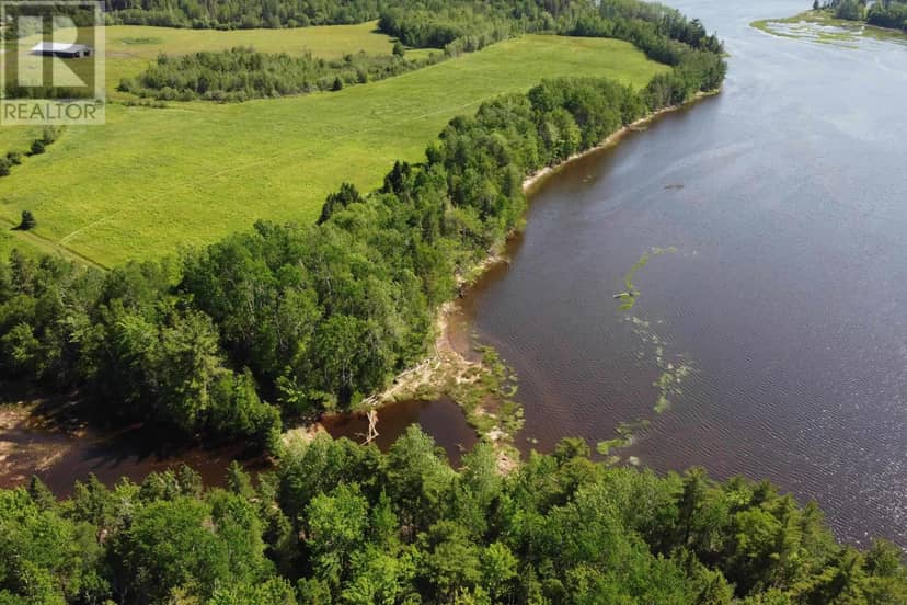 Lot 25-2 7737 Highway 321, Roslin, photo 5