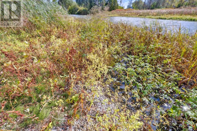 294 Lyon's Creek Road — photo 24 of 27