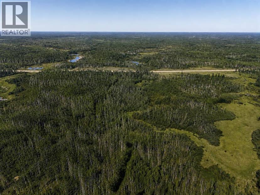 Alberta Provincial Highway 58, Rural Mackenzie County, photo 4