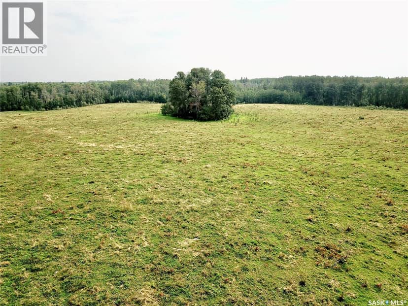 Page Pasture Half Section - N 1/2 of 31-50-08-W3 — photo 26 of 40