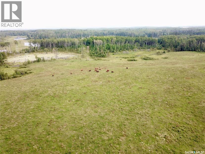 Page Pasture Half Section - N 1/2 of 31-50-08-W3 — photo 7 of 40