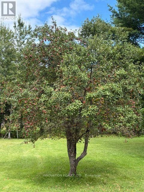 7 Grierson Lane — photo 33 of 35